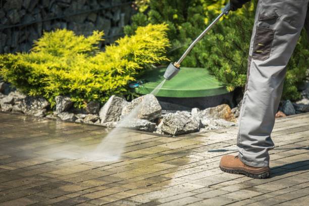 Best Sidewalk and Walkway Pressure Cleaning in Louisburg, KS
