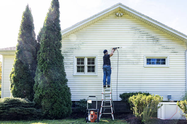 Best Gutter Cleaning and Brightening in Louisburg, KS